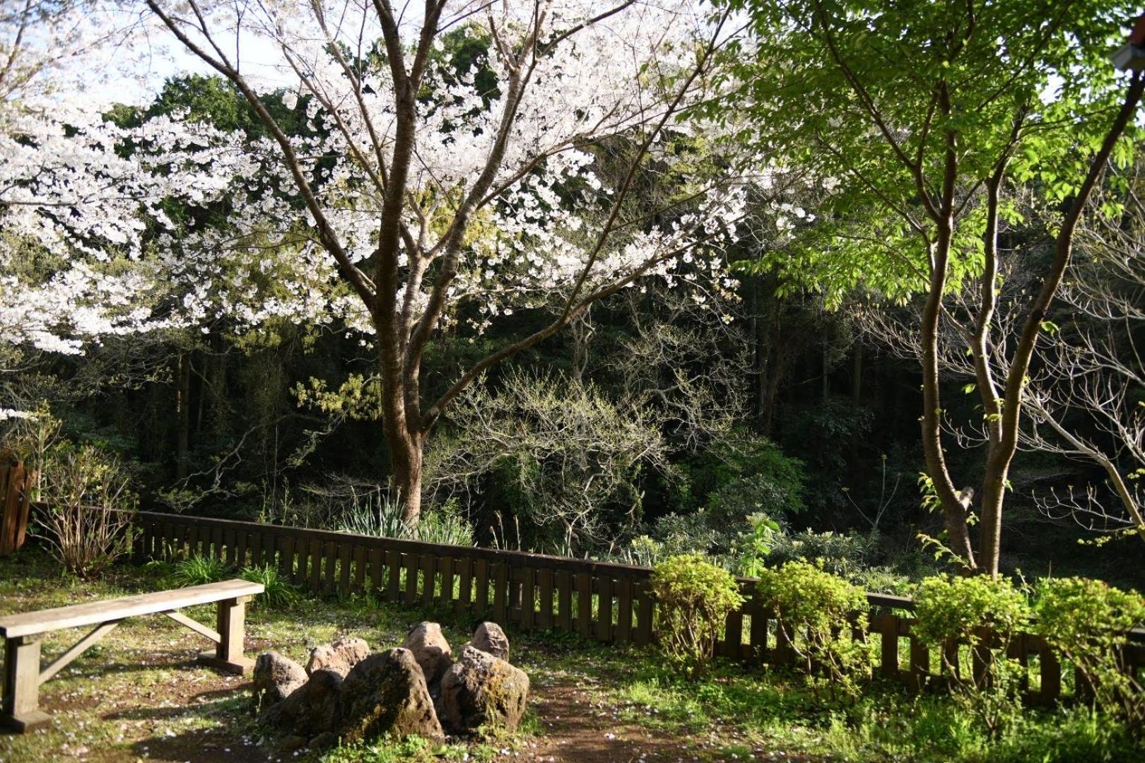 Sunny Side Cottage Shimoda  Exterior photo