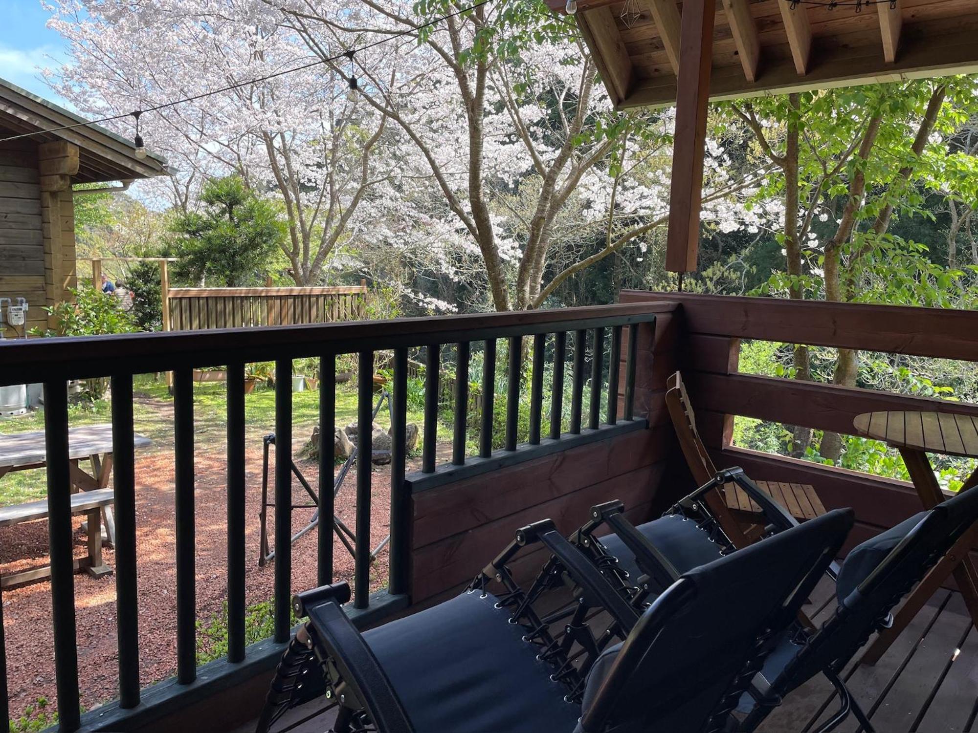 Sunny Side Cottage Shimoda  Exterior photo