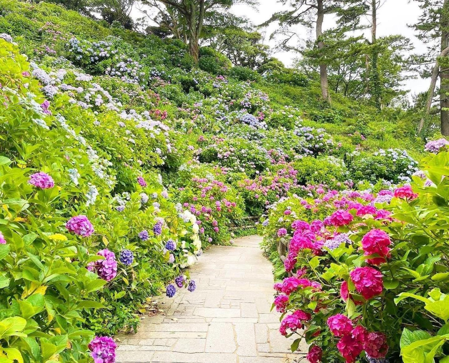 Sunny Side Cottage Shimoda  Exterior photo